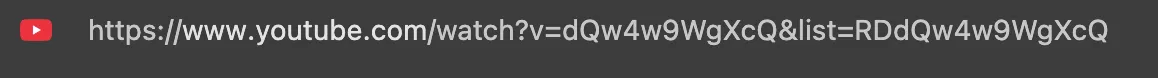 A browser address bar with the YouTube icon and the URL youtube.com/watch?v=dQw4w9WgXcQ&list=RDdQw4w9WgXcQ.